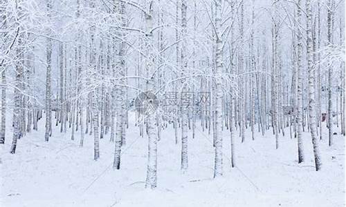 冬天的雪_冬天的雪白色了你我的情人节