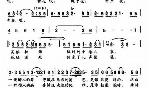 白兰花歌词_林俊杰白兰花歌词