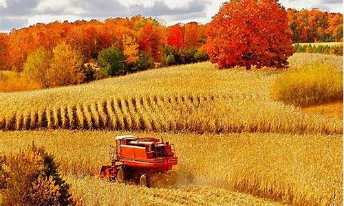 harvest_harvests