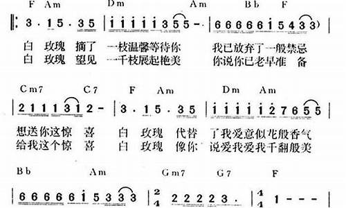 白玫瑰歌词_白玫瑰歌词是什么意思